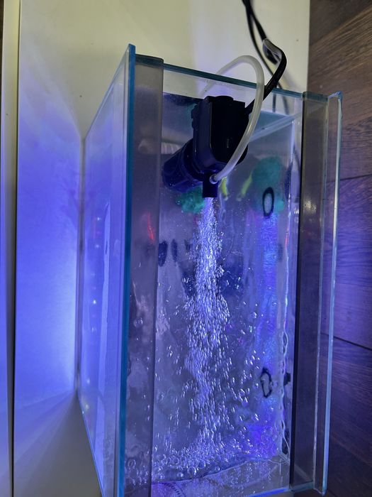 Аквариум с рыбками