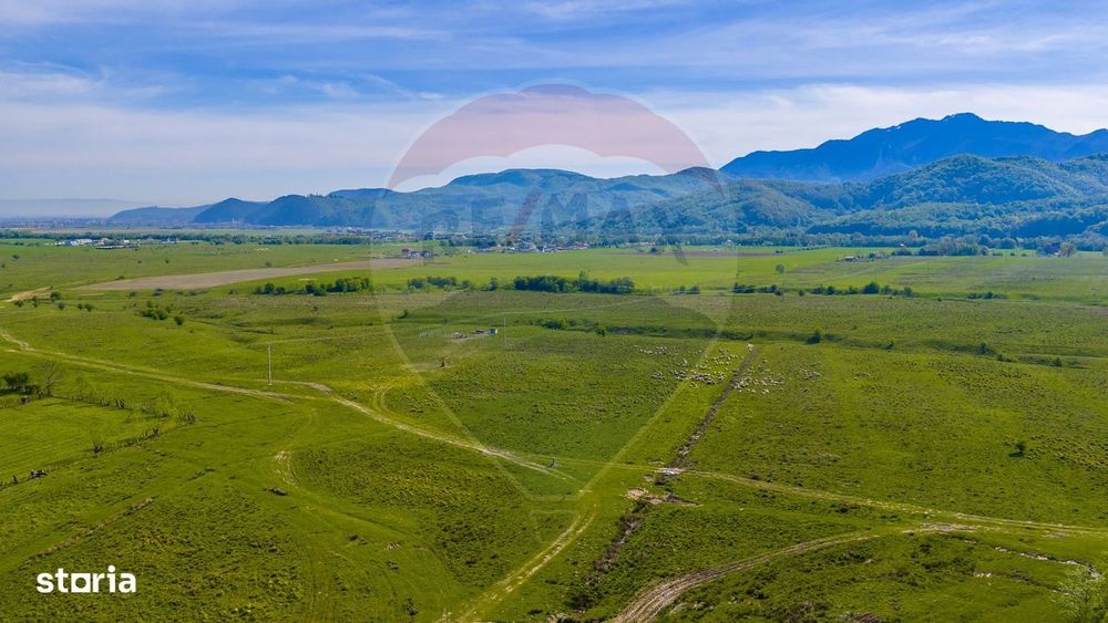 Teren 1ha, extravilan Rasnov / Agricultură sau fermă/ COMISION 0%