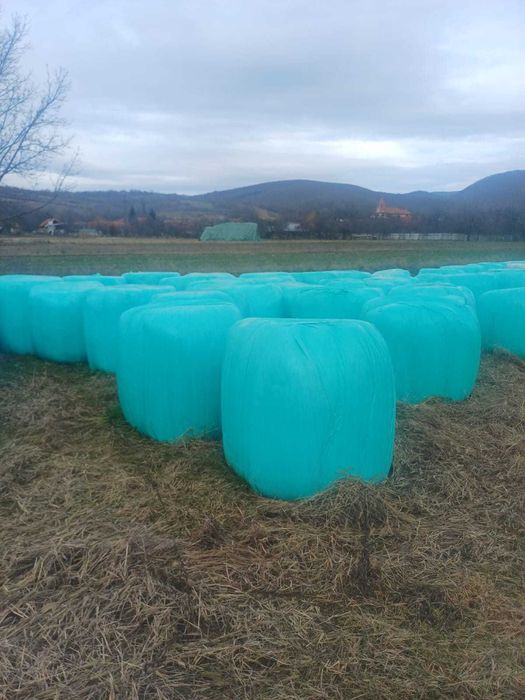 Vând baloți de lucernă înfoliati