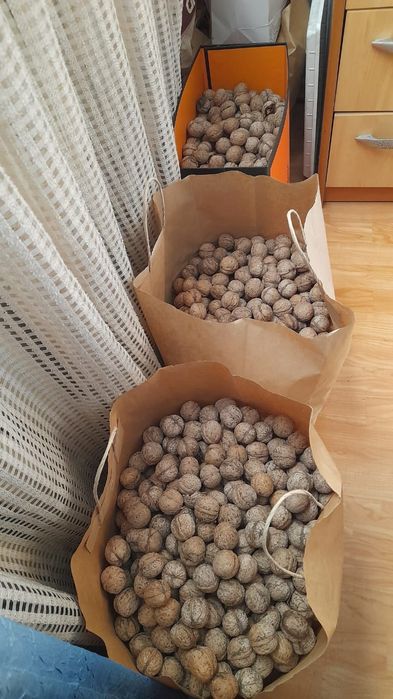 Продаю орехи грецкие