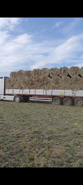 Продам сено в рулонах с доставкой