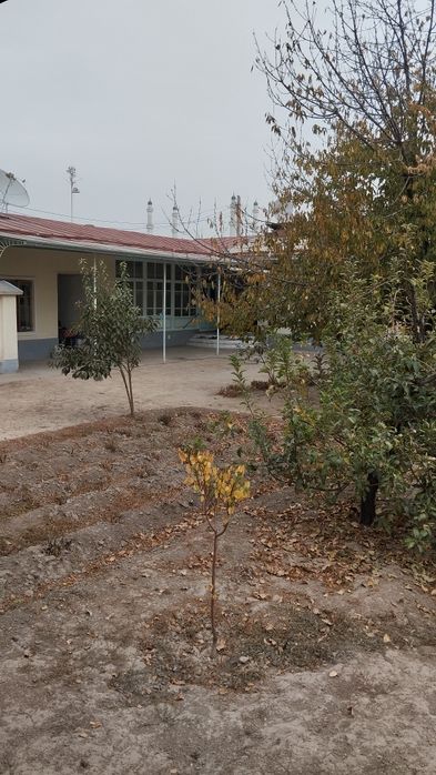 Olmazor tuman xovli 8,9 sotiq