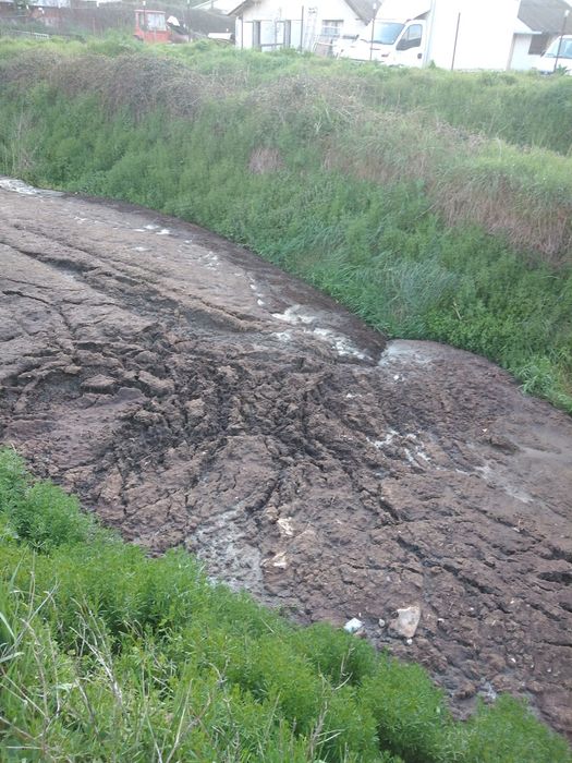 тор-птича тор--чиста