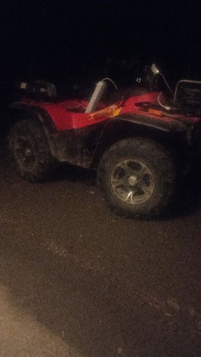 Suzuki artic cat 300