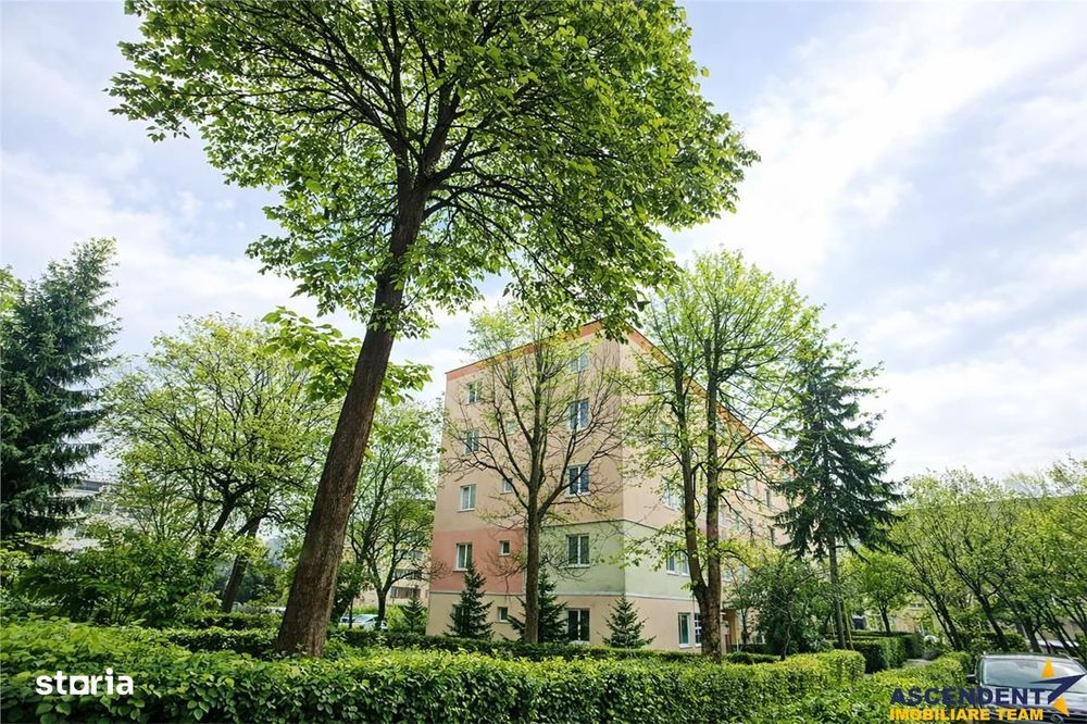 Cartierul Florilor, imobil renovabil, etaj intermediar, zona linistita