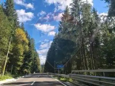 De vanzare | Teren Intravilan | Sat Sabasa, Comuna Borca, Neamt |