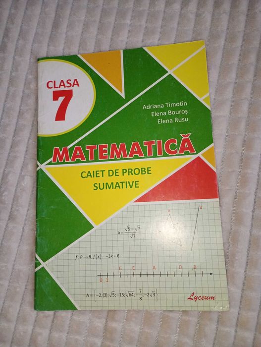 Caiet Matematică clasa 7 – Probe Sumative, nou