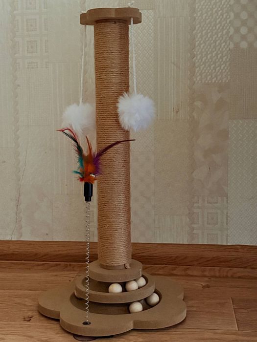 Отдам котенка в добрые руки