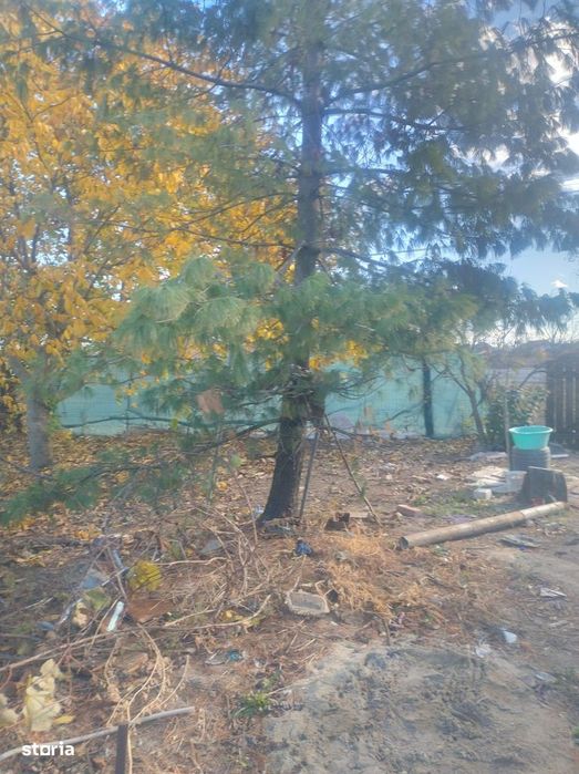Casă de vânzare în Cenad – aproape de ieșirea spre Ungaria- 739