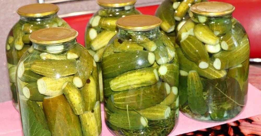 продаю домашнее соленье