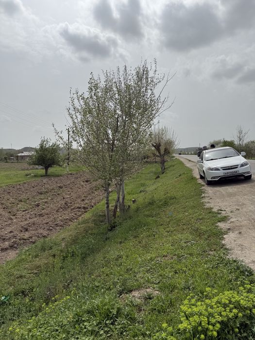 45 сотих йер йулни устида иштихон чимкургонда кушроботни йулида