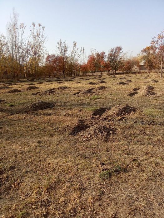 Yer uchastka sotiladi