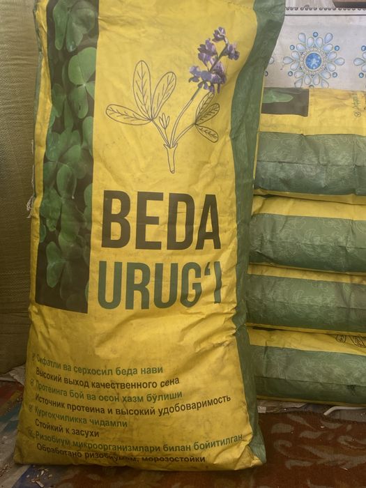 Beda urugi toshkent N1