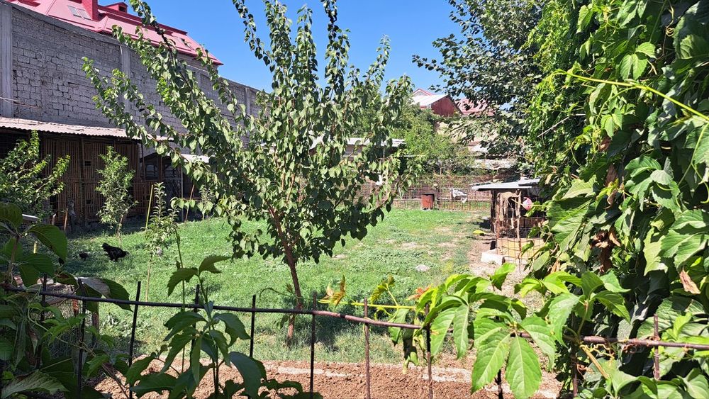 Срочна Ховли сотилади