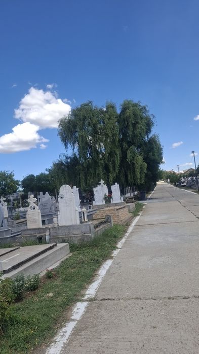 Loc de veci Cimitirul Nord