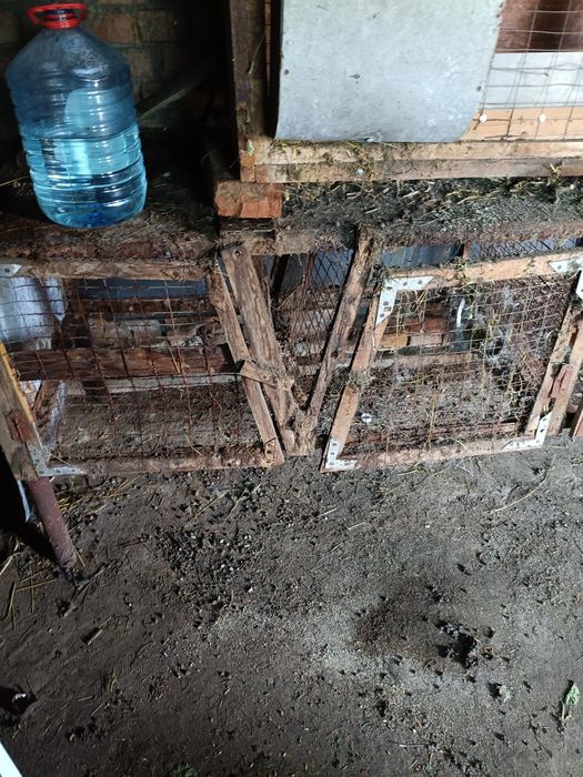 Клетки для кроликов