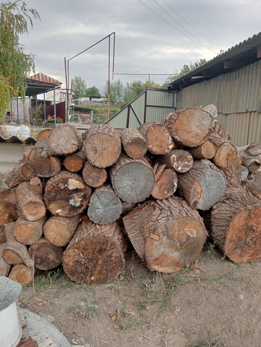 Продам дрова карагаш
