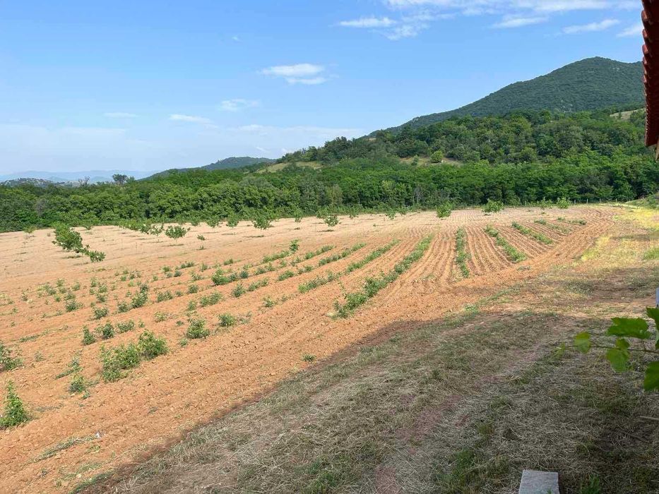 Продава се Земеделски имот в с. Войнягово, Област Пловдив -  кв.м за 1699 €/дка - Снимка #2