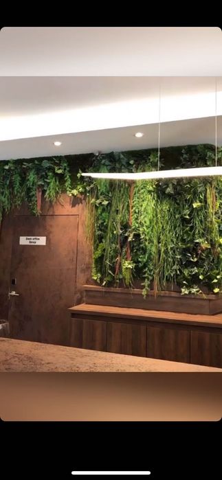 Вертикальное озеленение  растениями и мхом