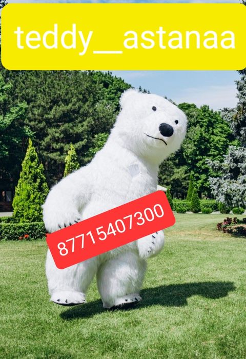 Аренда Умка, Панда, Тэдди, Белая Мишка, Зайка белая