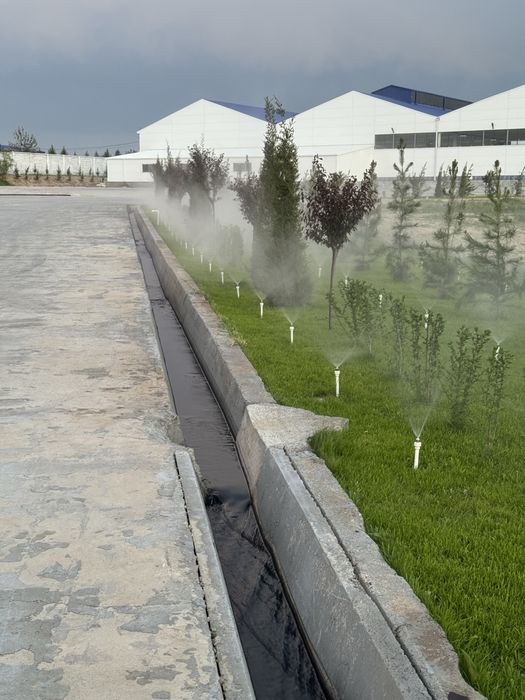 Rulon gazon landshaf dizayin xizmat