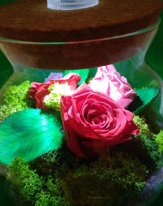 Флорариум ручной работы.