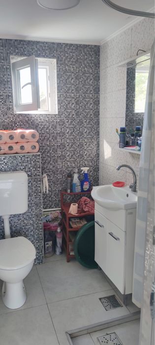 Casă renovată + livadă de pruni și vie | Dogari, Ciomăgești, Argeș