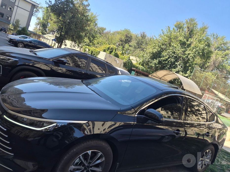 BYD chazor 2026 2-pazitsiya