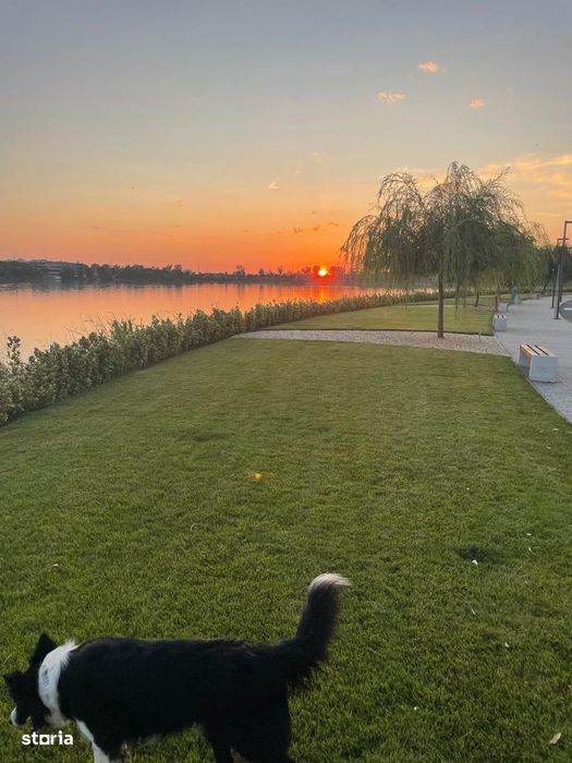 Pantelimon Lebăda Residence 10min Metrou Condominiu discret Ap2 camere