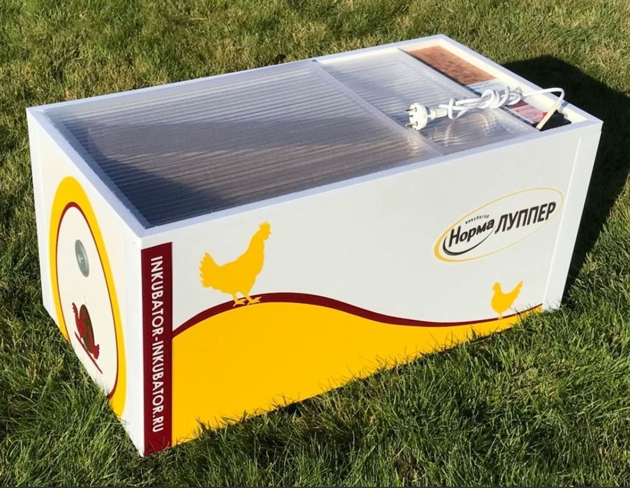 Инкубатор, норма луппер