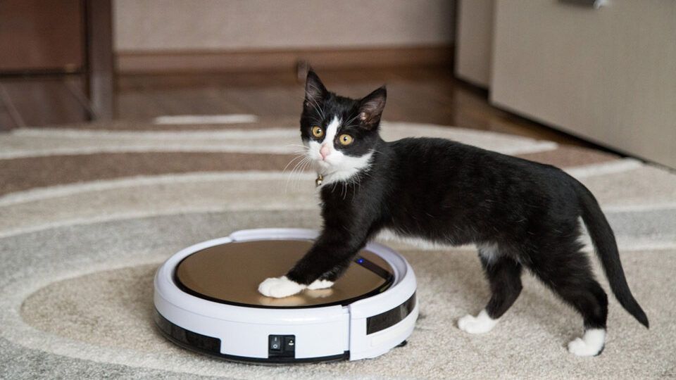 Ремонт робот пылесосов