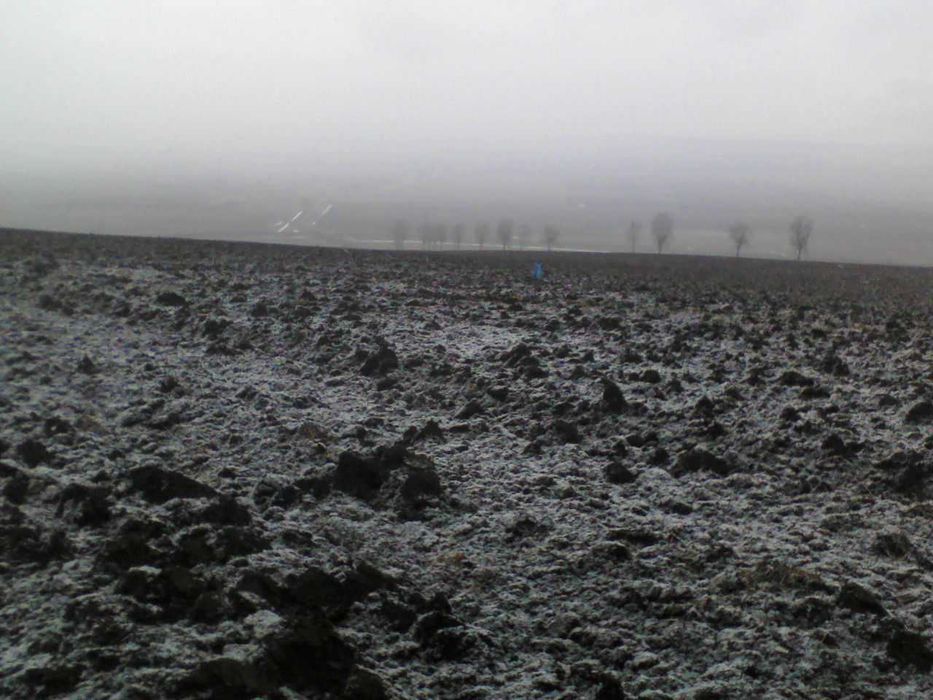 3200 mp Teren langa padure Romsilva, Raducaneni