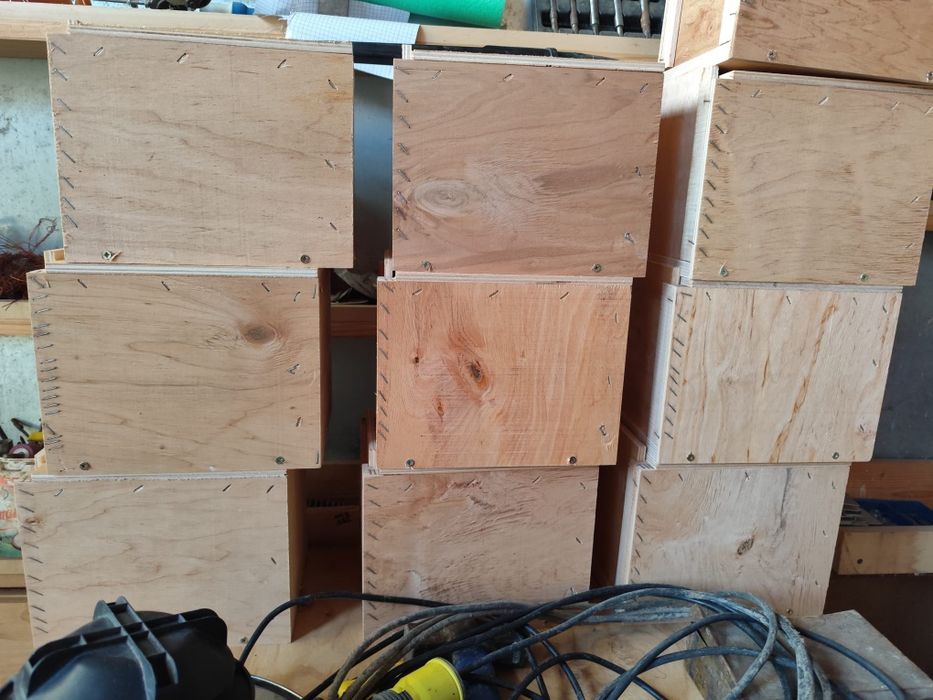 Cuiburi papagali și veverițe