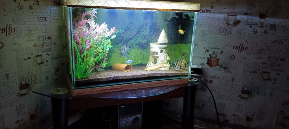 Аквариум полный комплект