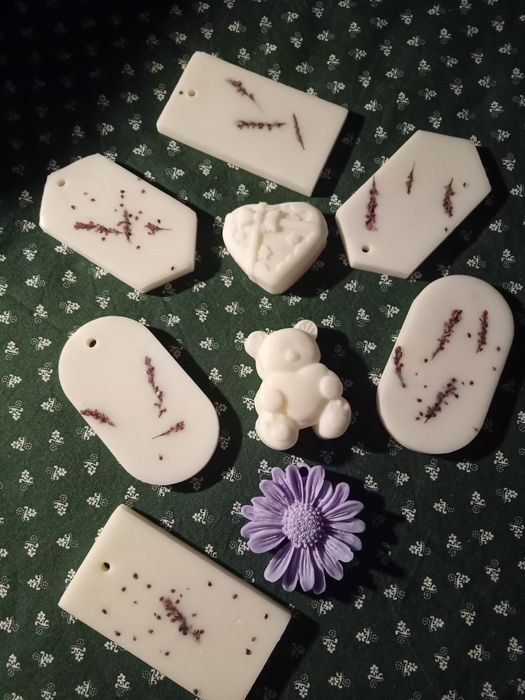 Odorizante din ceară de soia