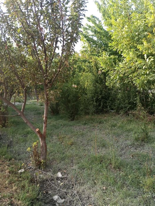 Yir sotiladiSrochna 10 sotix yir maydoni sotiladi