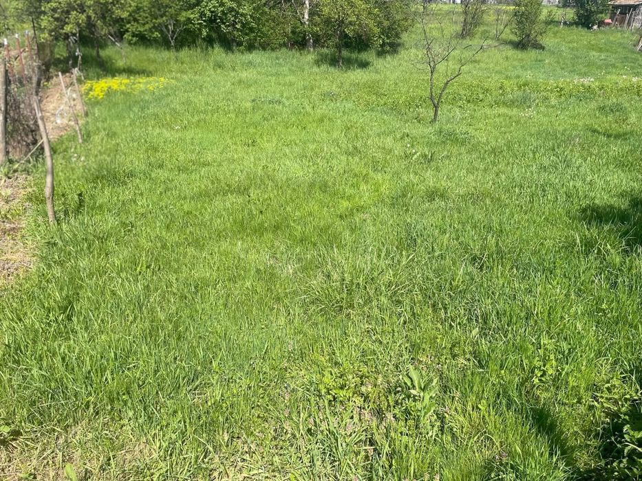 Teren intravilan - 40 ari - Coldau