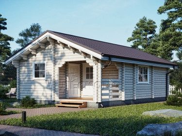 Дома, бани, беседки, навесы