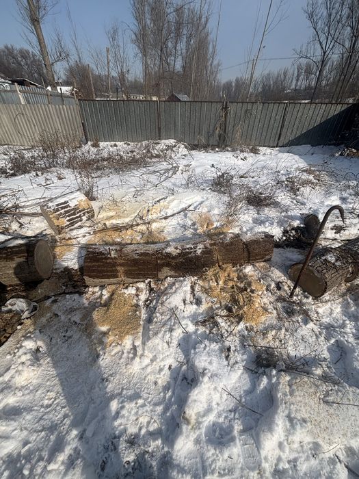 дрова продам 15000