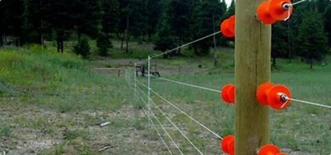 Электропастух Сатылады әр түрлі мощность Модель бар