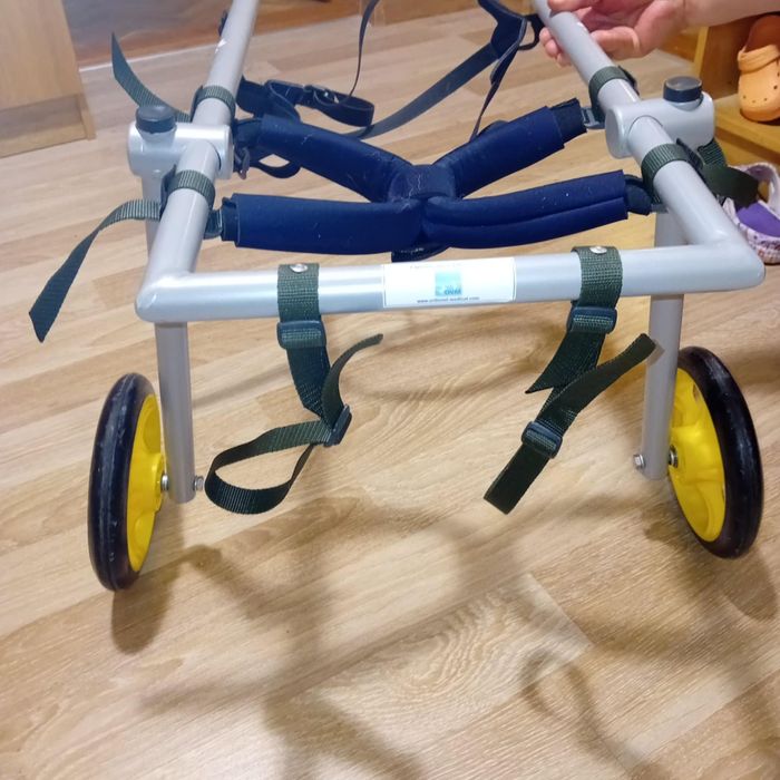 Инвалидна количка за куче