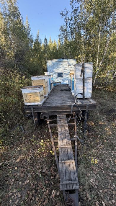 Продам прицеп-Пасеку с будкой и уликами