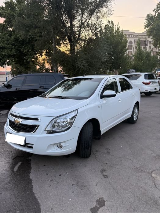 Cobalt 2024 соттлади.