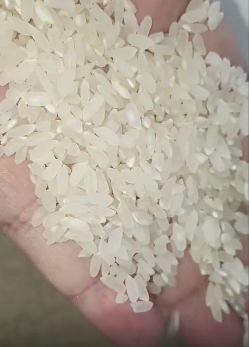 Рис маршал высшего сорта.