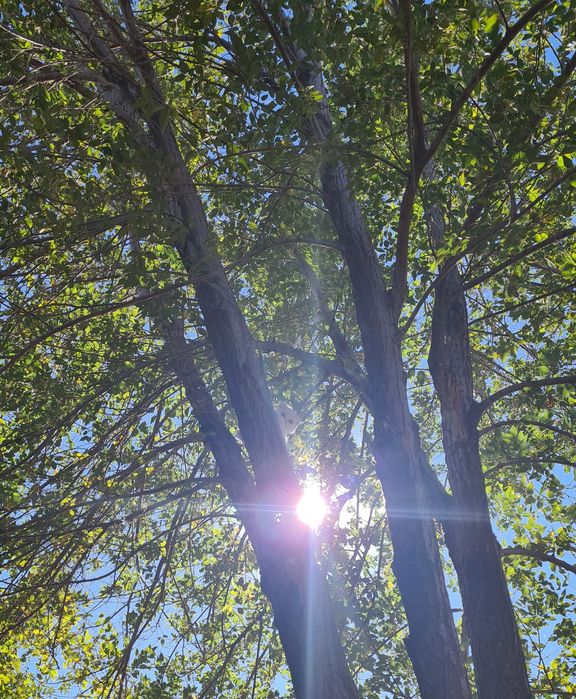 Дом'Белес'Продажа!