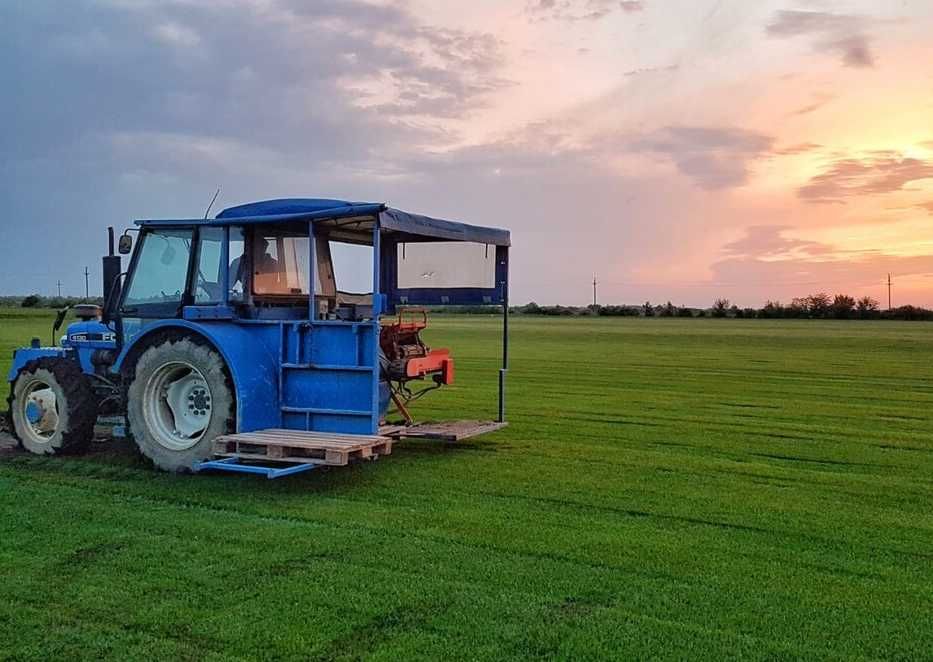 Gazon Rulou pentru Curte si Gradina - Montaj Complet