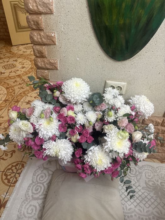 свежы цветы  арзан бағада беріп жіберемін