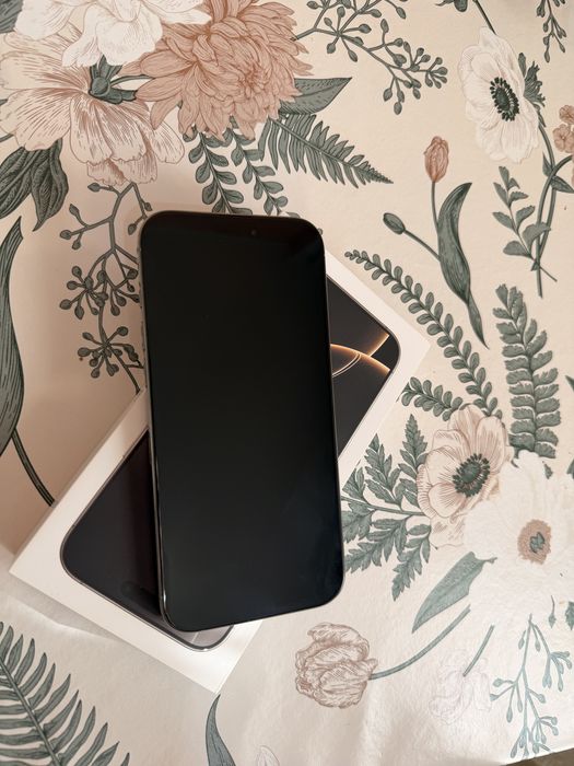 iPhone 16 Pro Max 256 GB – Natural Titanium – 3999,99(pretul este fix)