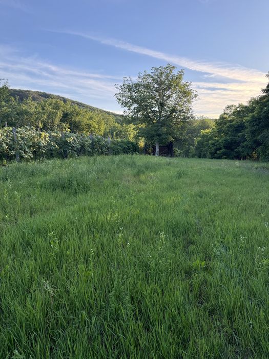 Teren intravilan 1500 mp, Garlenii de Sus