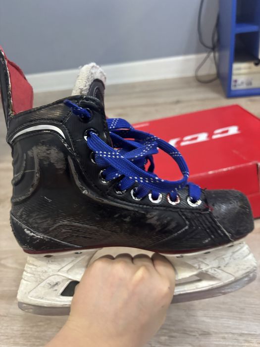 поньки bauer x500